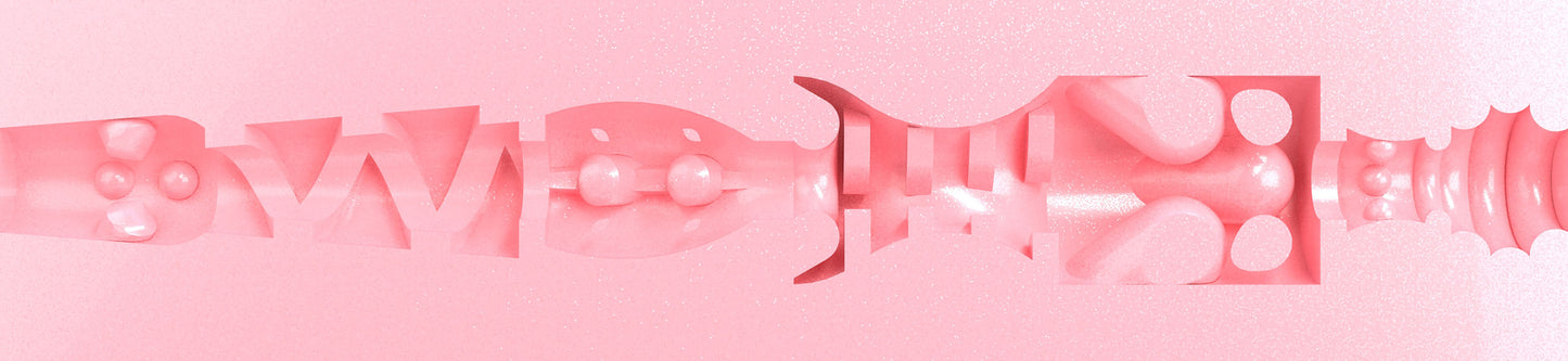 Tera Patrick Birthday Cake Edition